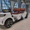 electro-card-buggy-at-bkk-airport-suvaranbhumi-airport.webp Electro-Cart/Golf-Cart/ Buggy Only for BKK Airport