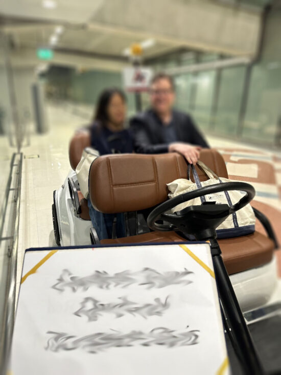 passenger-with-buggy.jpg Best Seller Honeymoon Package for Airport Arrival with Fast Track Immigration Process